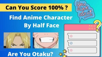 Anime Half Face Challenge